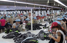 Ngành dược và dệt may Việt Nam có cơ hội bứt phá khi EVFTA có hiệu lực